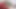 Fantasymassageペニーはクライアントをお尻にさせる