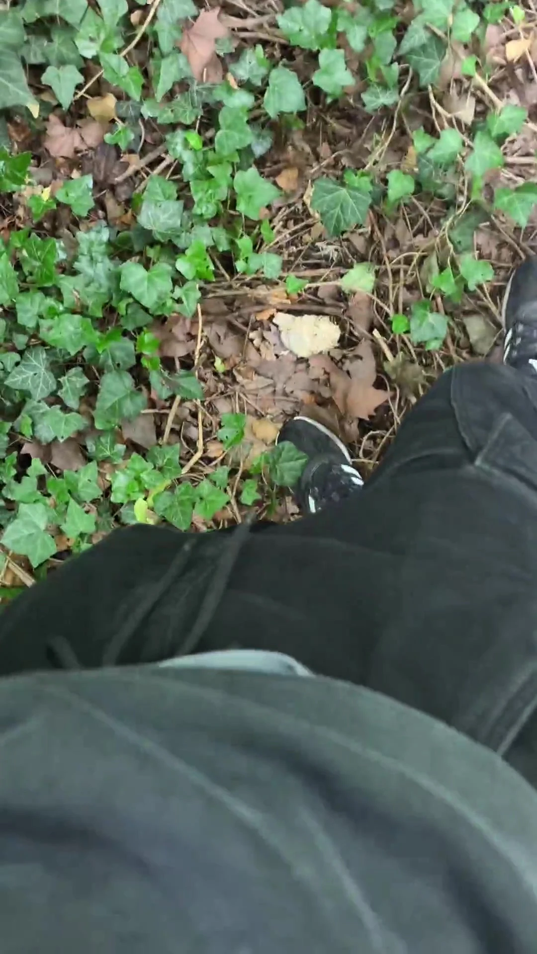 Slave humiliated in the park | Punishment with cage and plug
