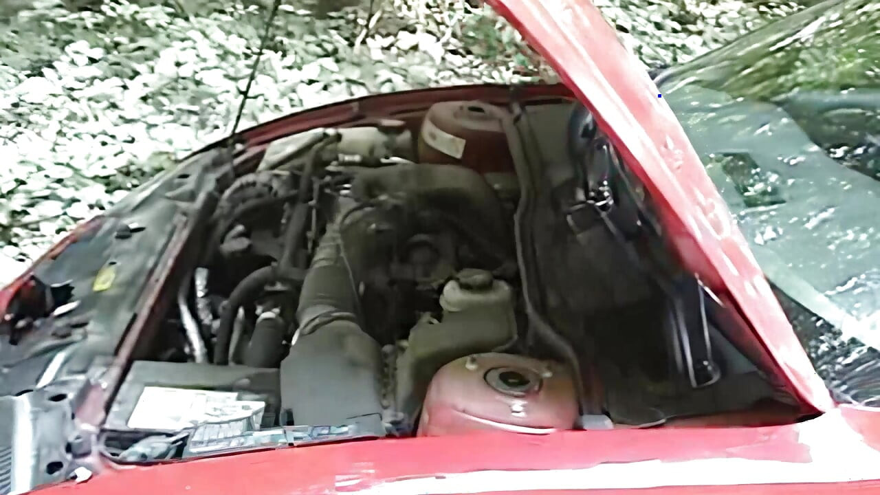 Scopata fuori a causa di un incidente in macchina