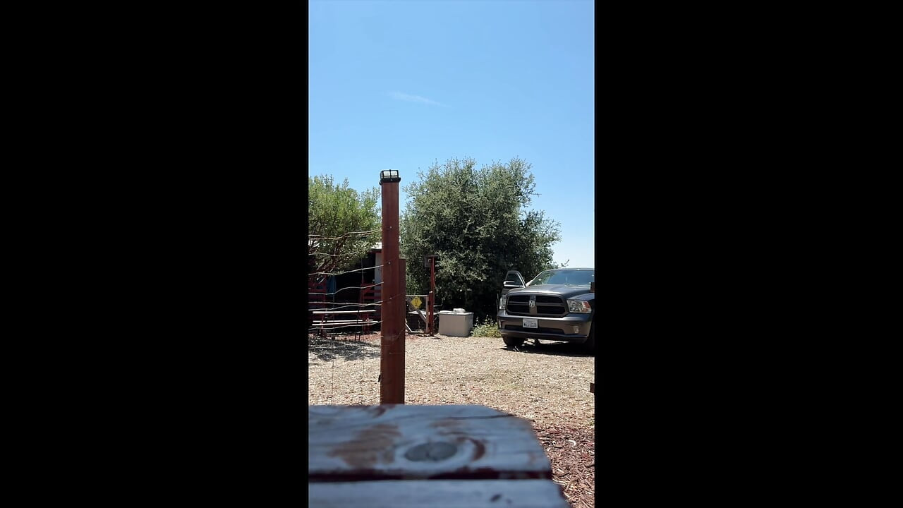 Dad Camping Naked and Cumming