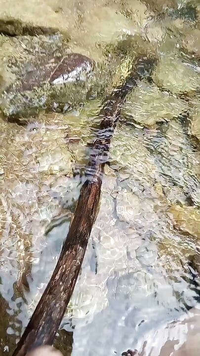 Majka Zemlja pruža. Guzica koja jede