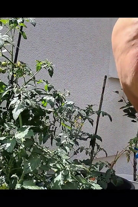 Çıplak, Rahat Ve Mutlu. Hafta Sonum Böyle Görünüyordu.