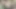 POV: Fucking Your Girlfriends Hairy Pussy