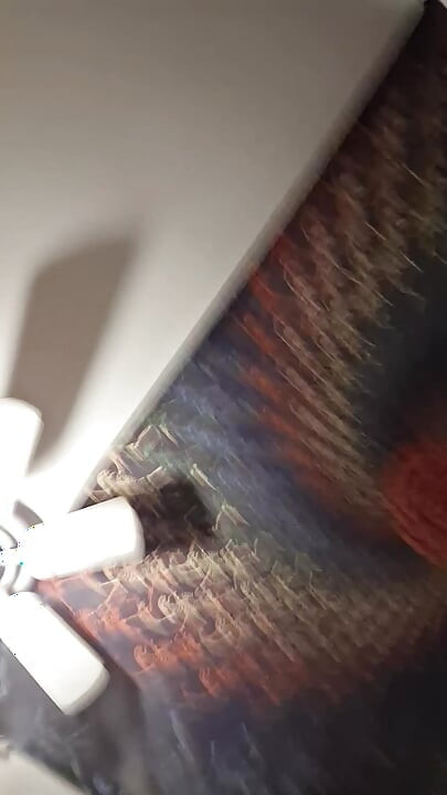 Только в стоячей комнате