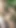 Sex in the Forest. Stepdad fucks his stepdaughter outdoors near the beach until he finishes her inside and gets her… | Clip 1