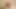 Passionate Homemade Sex , Nice Slow Fuck