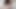 Delphine rubs and fingers her hairy clit