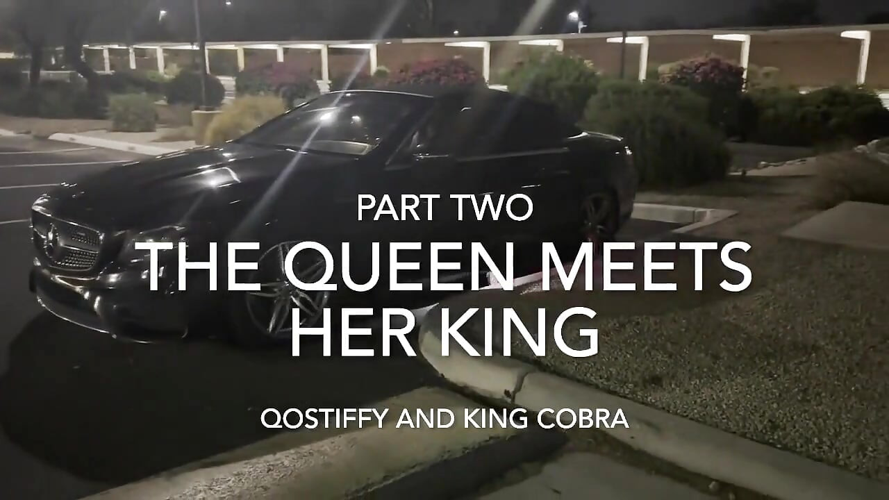 Qostiffy ve King Cobra bölüm 2