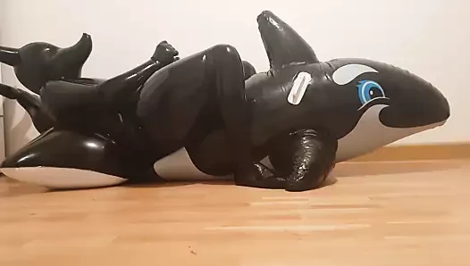 Austrian porn video – Latex Shark Fun Time