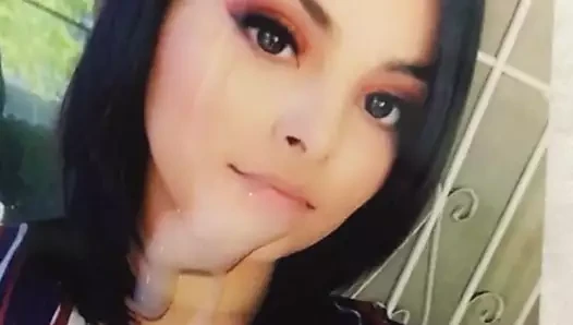 Cindy alcala döl haraç