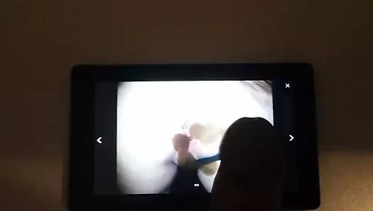 titts ve eşek haraç