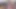 SissyJoyce Cucked and sucking dick ... (teaser)