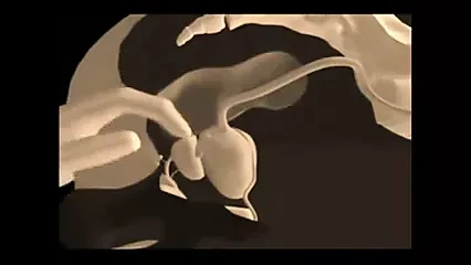 Comment faire un massage de la prostate