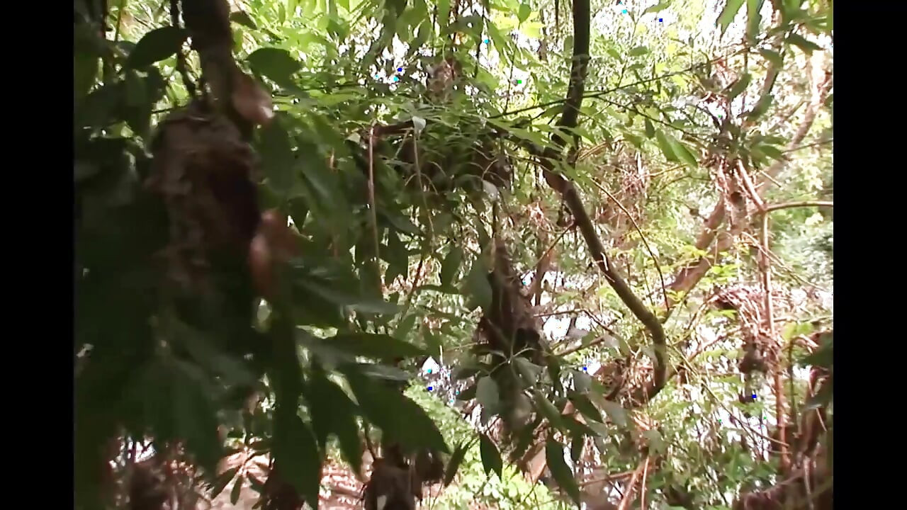 U tajnom podrumu žene dobivaju ono što žele.