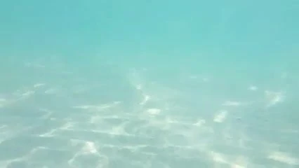 Mare e fica