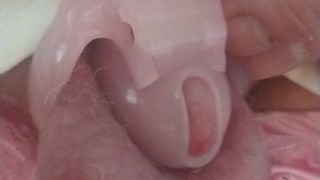 Tiny pink nub  chastity cage 