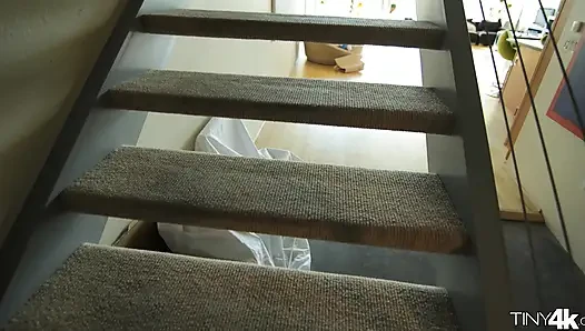 Petite Fuck Toy