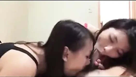 Amateur Asian Threesome Porn - Free Amateur Asian Threesome Porn Videos | xHamster