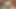 橋本玲奈のアジア人中出し輪姦シリーズは無修正XXX JAV最高にホットです!