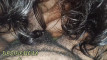 Pregled videozapisa