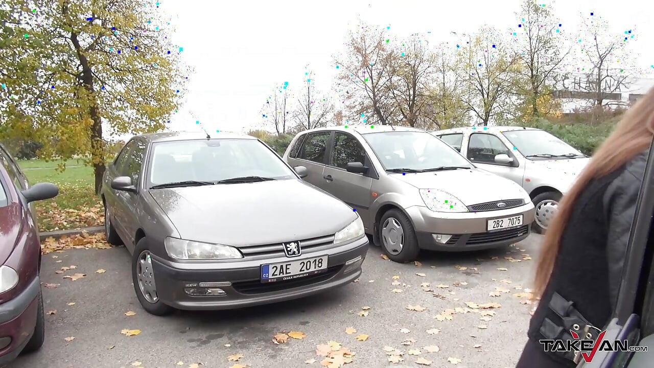 Festeira - Amirah Adara