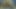 そして遊びは続く...