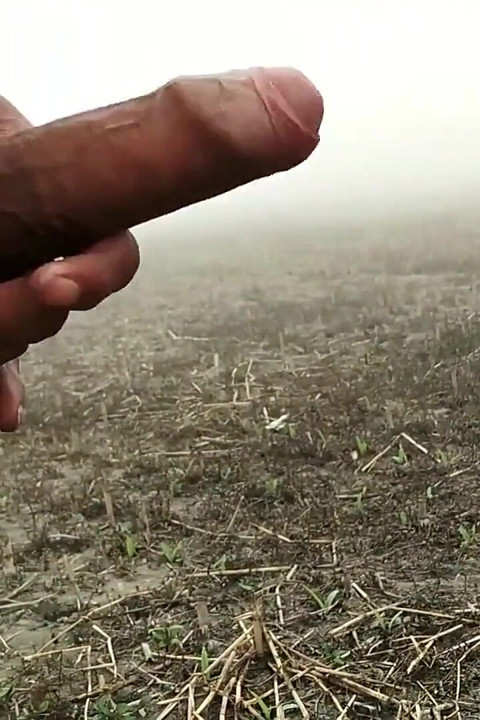 Big Cock Showing on Open Area