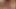FUCK MY WIFE! Cuckold let his HOT WIFE ride his neighbor's dick like a real slut!