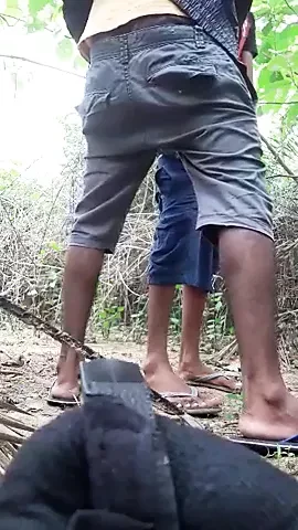 Sinhala gay