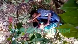 Romance sexty dans une forêt