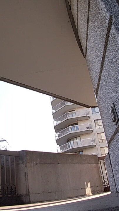 Mature BBW Sissy TV takes a big risk on the balcony wearing  heels and mini dress | Clip 1