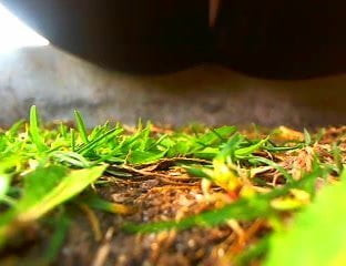 Public 15 (outdoor)