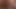 Ty grabs the back of his head and pulls it down on his cock