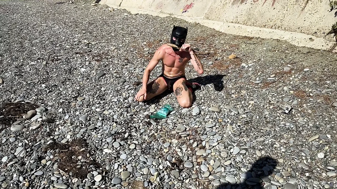 The owner fucked his doggie on the beach and cum in the face