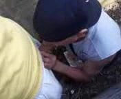 Blowjob