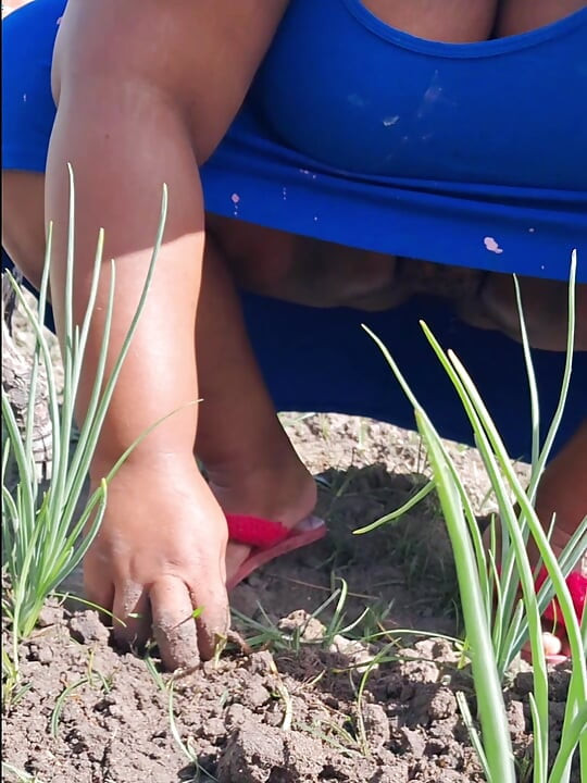 Hot stepmom went to the garden in a dress without panties and neighbor filmed
