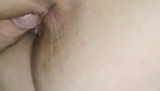 Nova и Трости