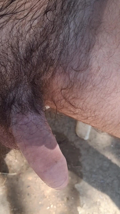 Nice hairy penis getting hard