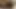 Watch Me Fuck Myself With A 7 Inch Dildo While Squirting Like The Queen I Am