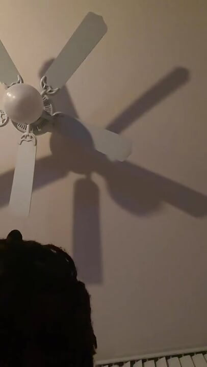 Black dreadhead makes 12 minutes of fun creaming on his big black dildo