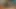 tatlı civciv losyonları onu traş KEDİ