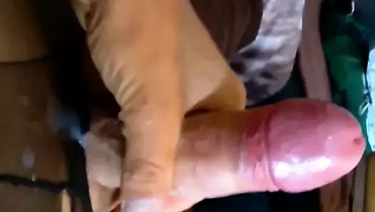 Strumpfhose