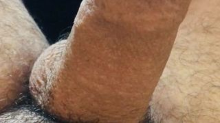 Semi erected young uncut chubby cock