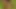 A woodcutter fucks in the ass 18yo schoolgirl lost in the forest
