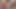 Vibrator in cunt and blowjob from 18yo skinny teen!