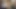 Desi Indian 18 Years Old Girl Doggy style sex video, Desi Girl Viral Sex, Indian College Girl Doggy style sex
