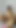 Büyük götlü latinler ve lezbiyenler en sevdikleri oyuncakla sikişiyor - İspanyolca porno | Klip 1