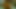 Taxi Driver