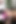 The milf invites her friend to erotically satisfy her lover in threesome - 1