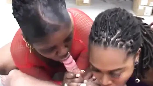 Big boobs black chubby loves big white dick in mouth
